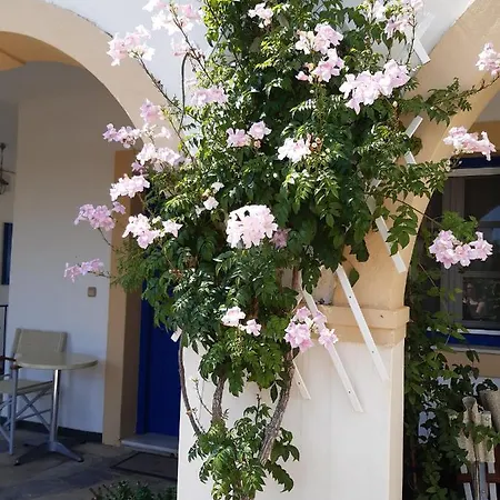 Aloi شقة فندقية 3*