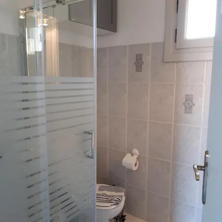 Aloi 3* Frillingiánika