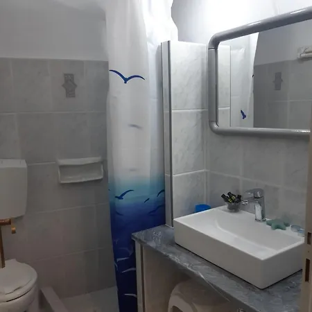 Aloi 3* Frillingiánika