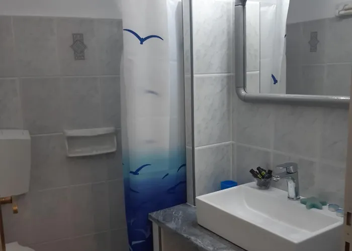 Aloi 3* Frillingiánika